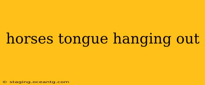 horses tongue hanging out