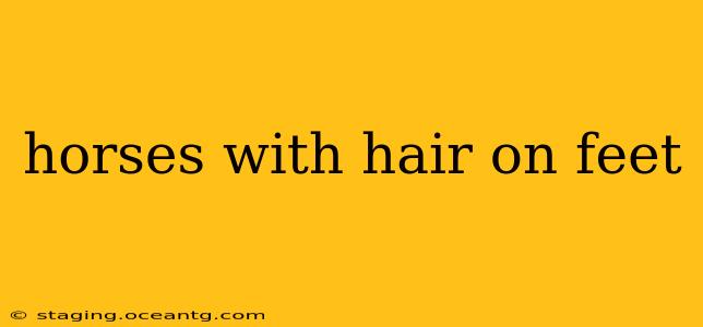 horses with hair on feet