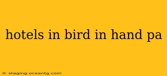 hotels in bird in hand pa