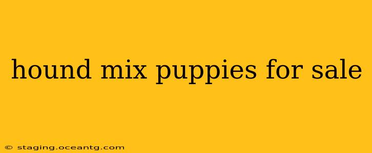 hound mix puppies for sale