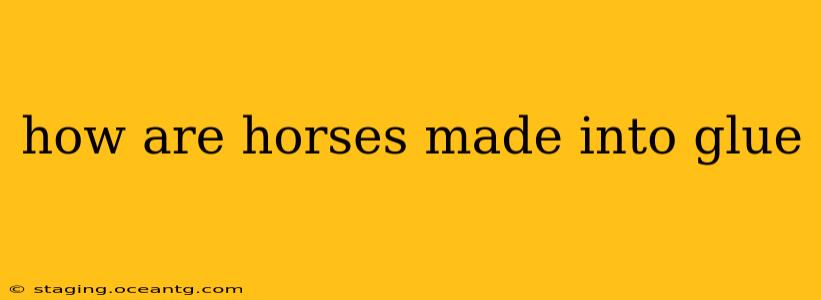 how are horses made into glue
