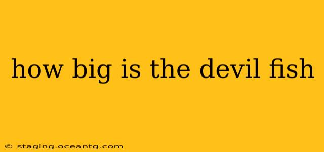 how big is the devil fish