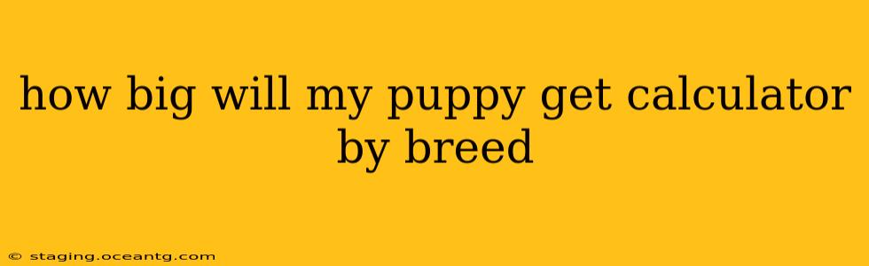 how big will my puppy get calculator by breed