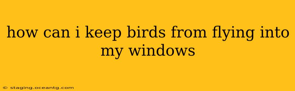 how can i keep birds from flying into my windows