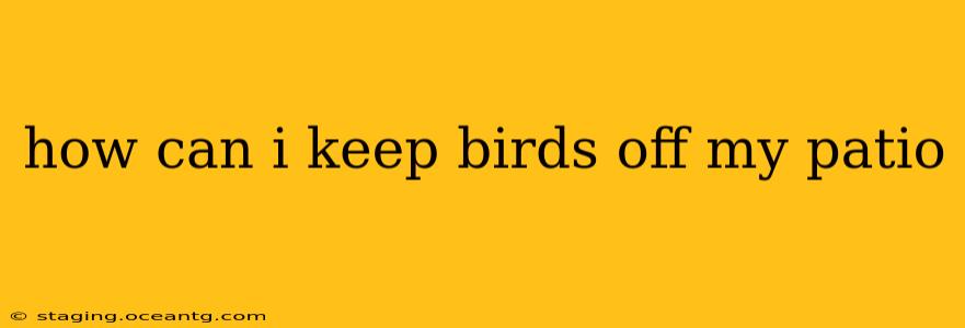 how can i keep birds off my patio