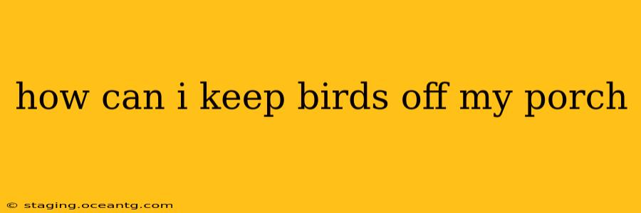 how can i keep birds off my porch