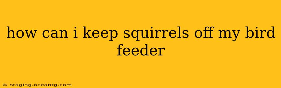 how can i keep squirrels off my bird feeder