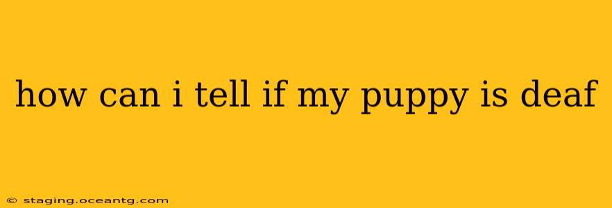 how can i tell if my puppy is deaf