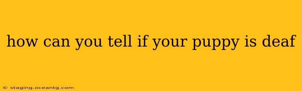how can you tell if your puppy is deaf