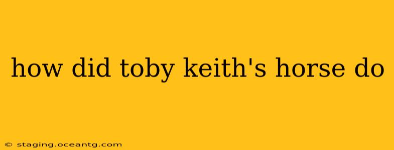 how did toby keith's horse do
