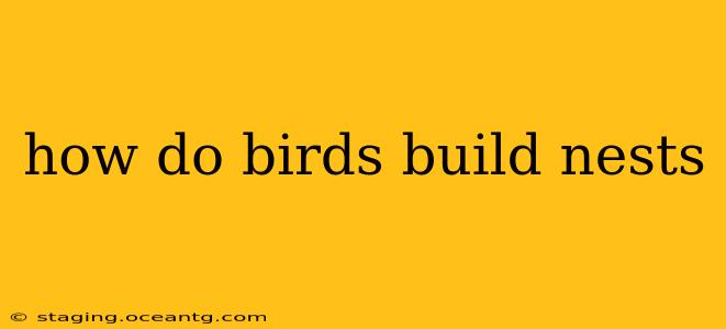 how do birds build nests