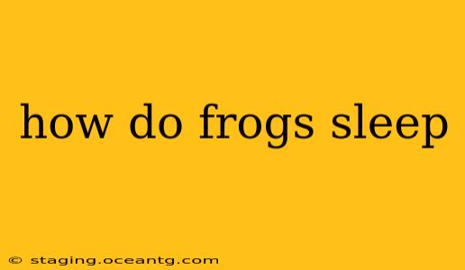 how do frogs sleep