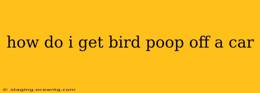 how do i get bird poop off a car