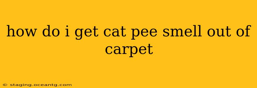 how do i get cat pee smell out of carpet