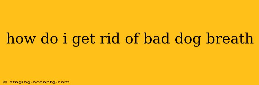 how do i get rid of bad dog breath