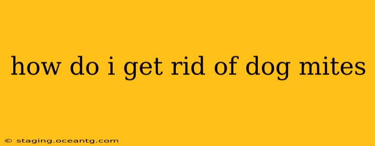 how do i get rid of dog mites