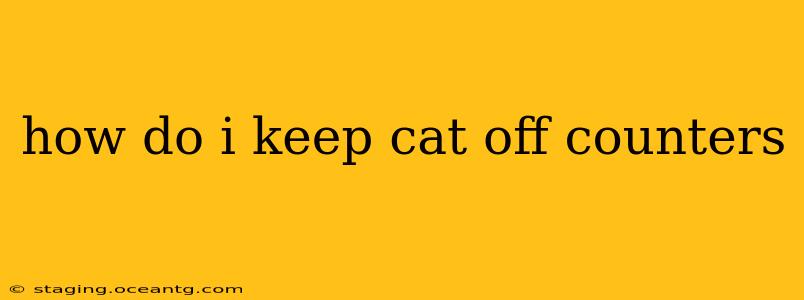 how do i keep cat off counters