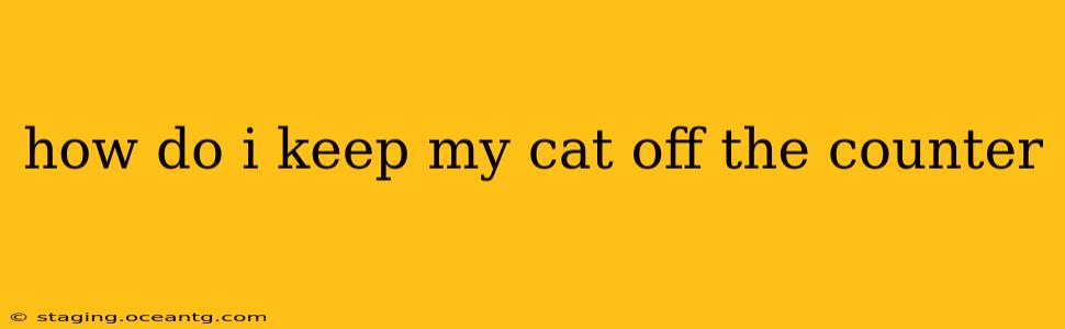 how do i keep my cat off the counter