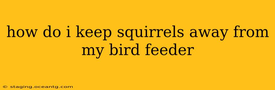 how do i keep squirrels away from my bird feeder