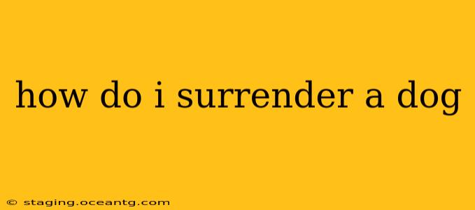 how do i surrender a dog