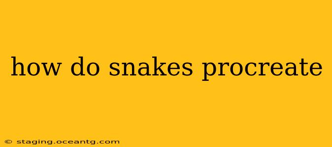 how do snakes procreate