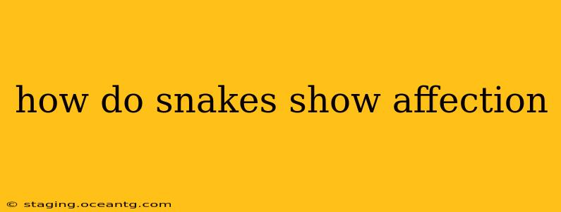 how do snakes show affection