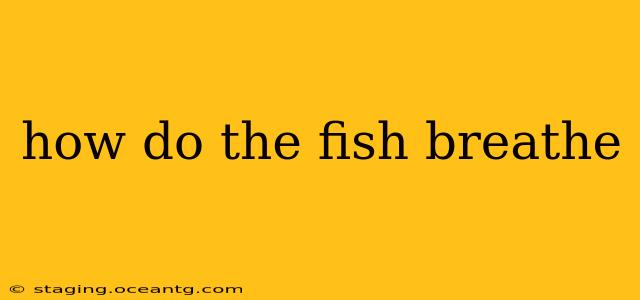 how do the fish breathe
