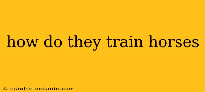 how do they train horses