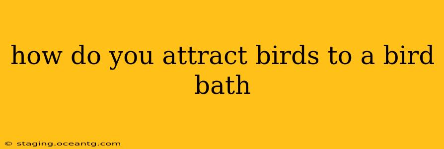 how do you attract birds to a bird bath