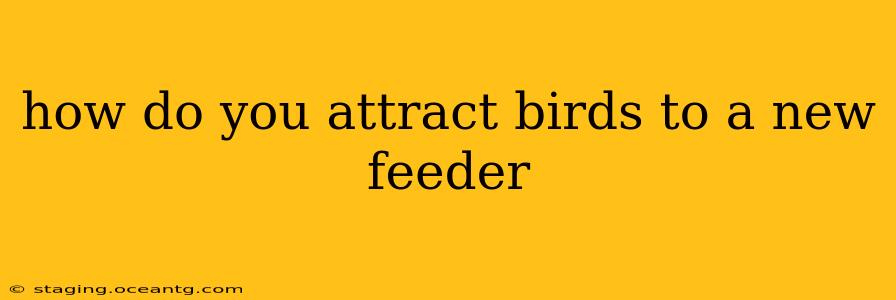 how do you attract birds to a new feeder