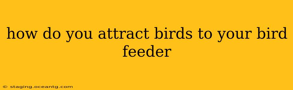 how do you attract birds to your bird feeder