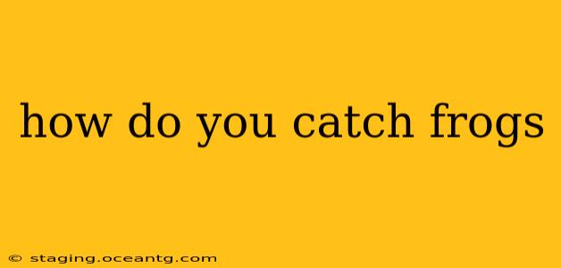 how do you catch frogs