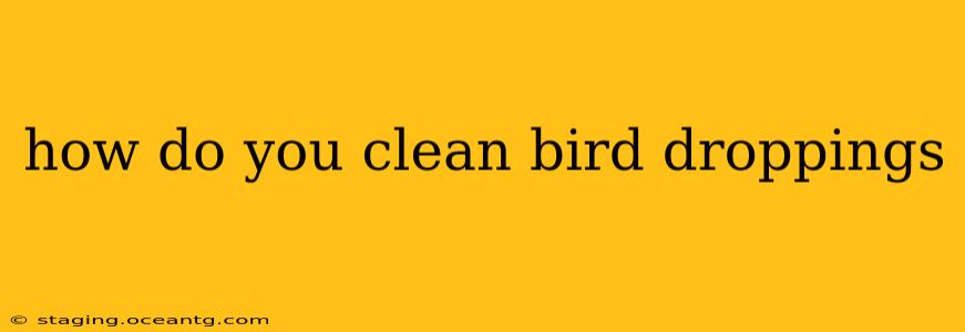 how do you clean bird droppings
