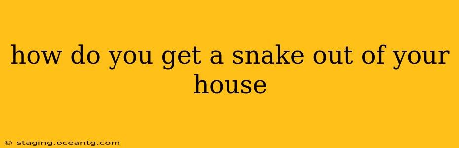 how do you get a snake out of your house