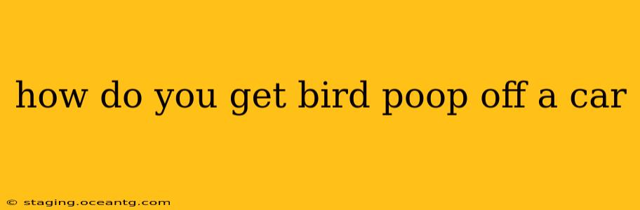 how do you get bird poop off a car