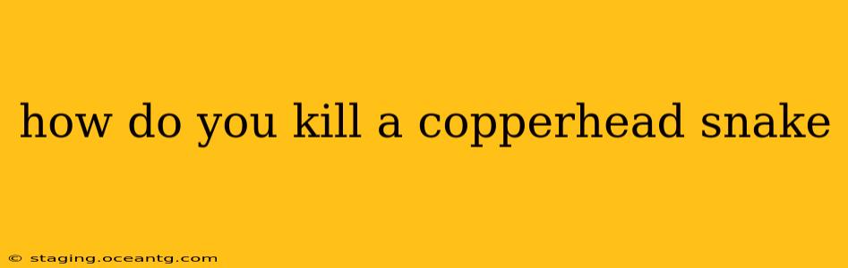 how do you kill a copperhead snake