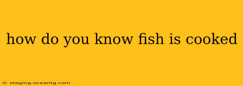 how do you know fish is cooked
