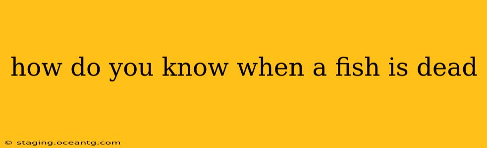 how do you know when a fish is dead
