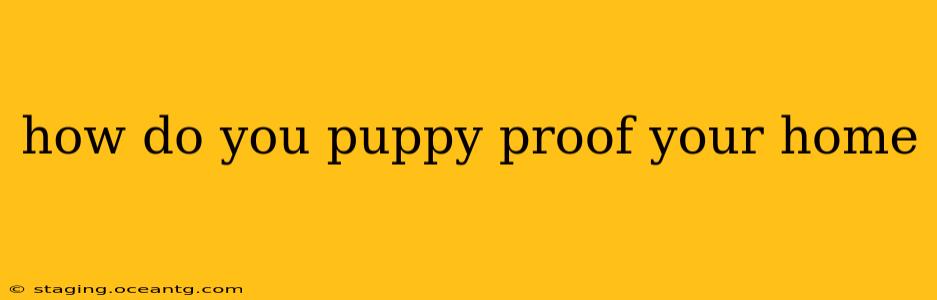 how do you puppy proof your home