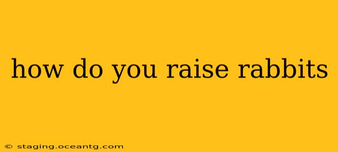 how do you raise rabbits