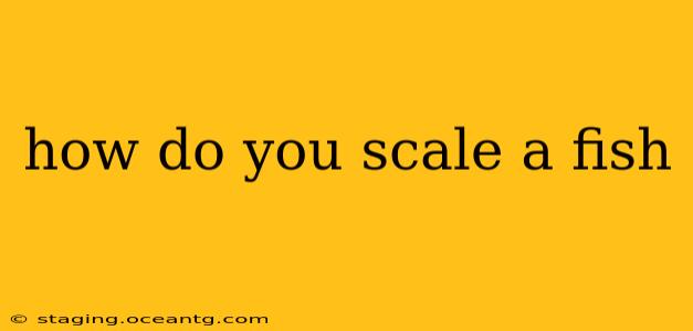 how do you scale a fish