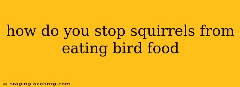 how do you stop squirrels from eating bird food
