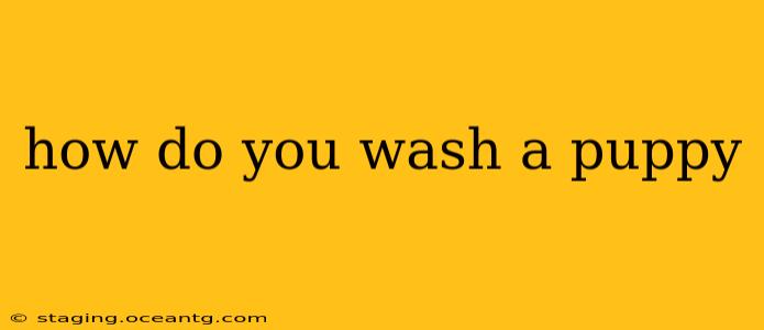 how do you wash a puppy