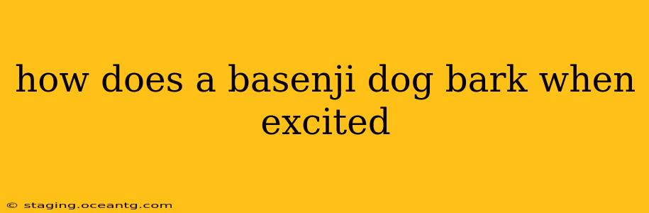 how does a basenji dog bark when excited