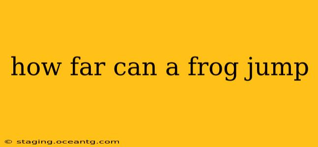 how far can a frog jump