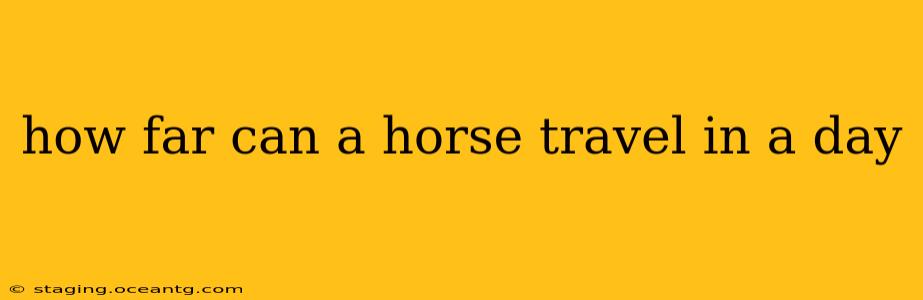 how far can a horse travel in a day