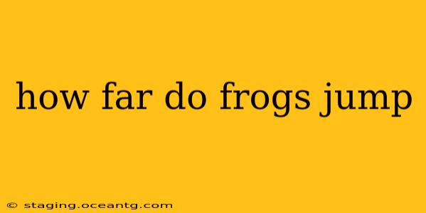 how far do frogs jump