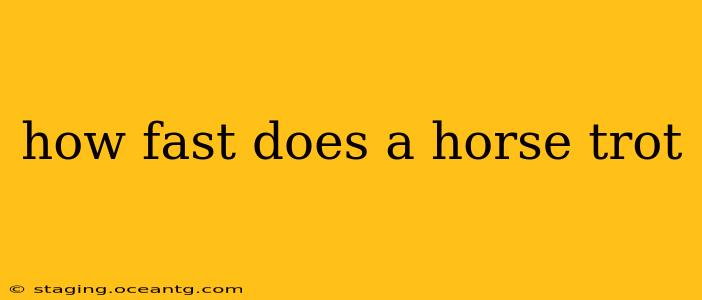 how fast does a horse trot