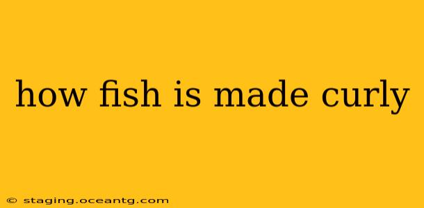how fish is made curly