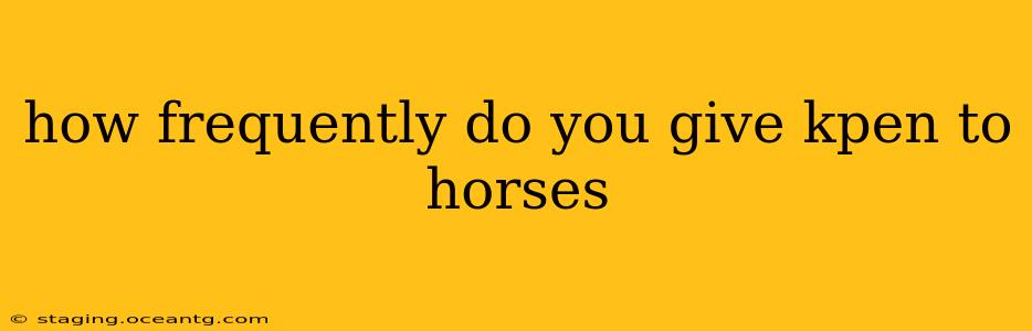 how frequently do you give kpen to horses